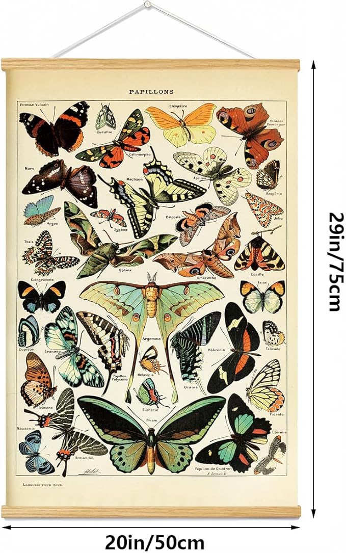 Vintage Flowers Poster Hanger Frame, Plant Floral Reference Chart Wall Decor Cottagecore Room Decor Aesthetic, Retro Style Wall Decor Art Painting Prints. (butterfly N, 24L x 16W)