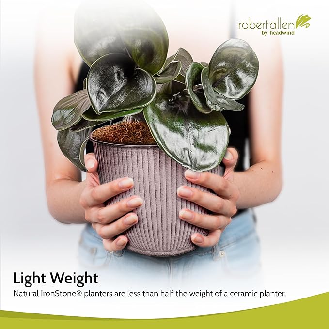 Headwind Robert Allen Natural Ironstone Decorative Planter, Archer Collection, Latte, 8-inch