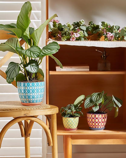 Ceramic Plant Pots, 5.8 Inch Flower Pots for Indoor Plants, Colorful Planters with Drainage Hole & Saucer, Garden Planters for Succulent, Orchid, Cactus, Home Decor, Set of 4
