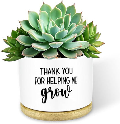 Thank You for Helping Me Grow Plant Pots Funny Small Succulent Pots Gifts Cute Planters Flower Pots Ceramic Pot for Plants Cactus, Thank You Plant Pot for House Indoor Garden, Plant Not Included