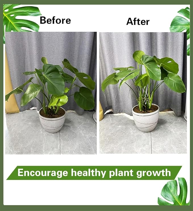2PCS 6" Plant Stem Support,Stabilizer Grapple Holder for Monstera and Climbing Plants,Reusable Flower Plant Support,Leaf Stabilization and Support for Thriving Growth.