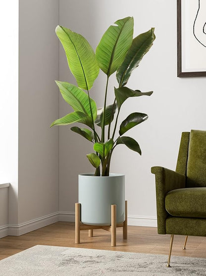 LE TAUCI 12 Inch Pot for Plants, Ceramic Planters for Indoor Plants, Mid-Century Modern Cylinder Flower Pots with Drainage Hole, Fits Fiddle Leaf Fig & Monstera, Home Decor, Mist Gray