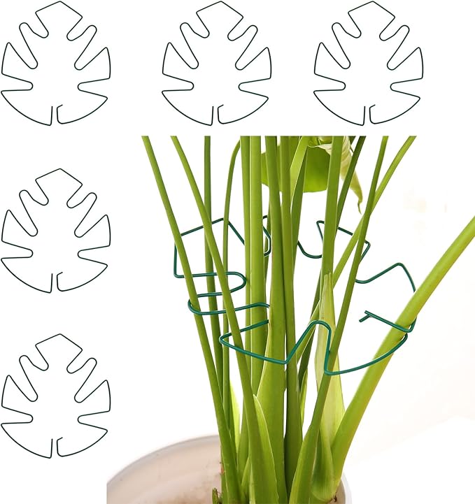 Spiritlele 5 Pcs Green Plant Stem Support Holder Set Monstera Plant Support Clamp Growth Accessories for Indoor Plants Big