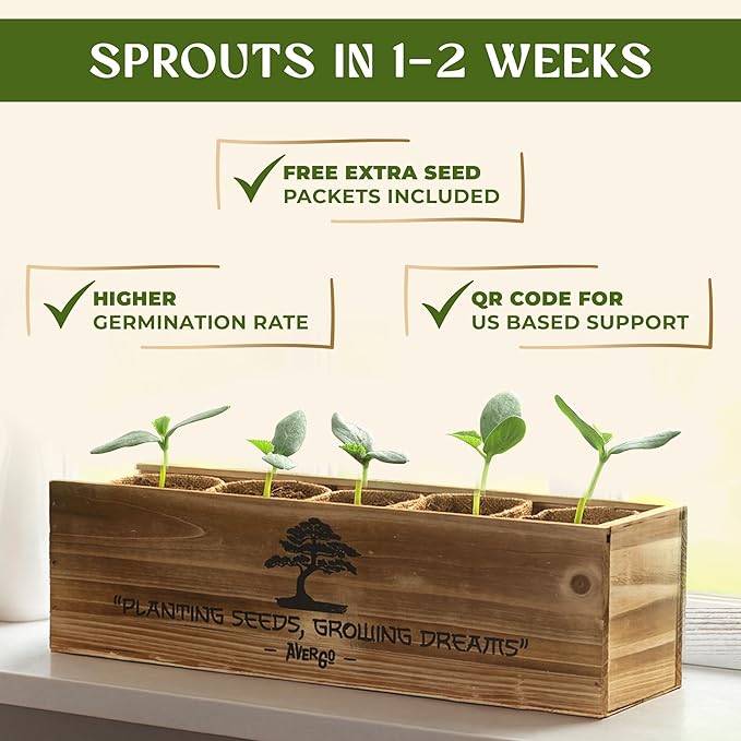 DIY Bonsai Tree Kit for Beginners – 5X Unique Japanese Bonzai Trees, Complete Indoor Bonsai Starter Kit for Growing Bonsai Plants w/Tools & Planters – DIY Christmas Gardening Gifts for Mom