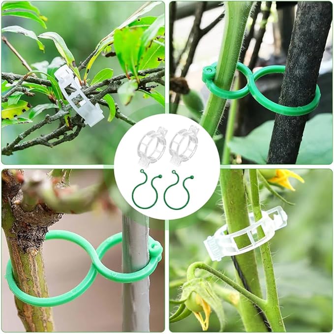 200 Pcs Plant Support Clips, 2 Types in 1 Pack, Plastic Garden Clips for Tomato, Grape, Cucumber, Vine Plants, Reusable Plant Clips for Climbing Plants (Green White)