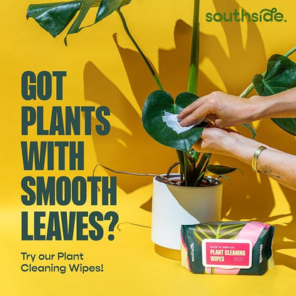 Southside Plant Cactus & Succulent Plants Cleaning Brushes - Wooden Handles w/Soft Goat Hair Bristles - Garden Cleaning Tools, Gentle on Plants, 7" & 3.2" Sizes - Pack of 2