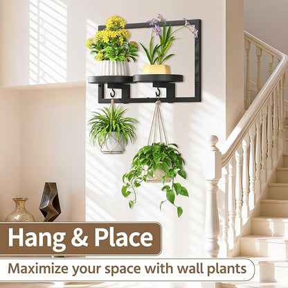 LASZOLA Black Wall Mount Plant Shelves with Hangers for Indoor Flower, Heavy Duty Metal Window Floating Planter Holders Stand, Modern Iron Picture Frame with Hook Decorative for Kitchen Bathroom