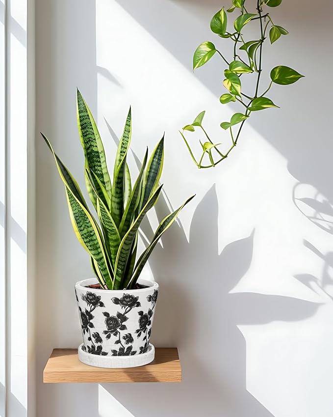 Ceramic Pot for Indoor Plants - 5.5 inch Flower Pot for Plants with Drainage Holes and Saucer Ice Crack Diamond Rose Flower Pattern Ceramic Planter for Outdoor Indoor Herb Snake Plant (Black & White)