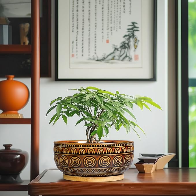 Bonsai Pots 8 Inch - Ceramic Succulent Planters for Indoor Plants, Shallow Plant Pots with Drainage Hole and Saucer, Boho Round Planter Bowl, Office Decor, Brown