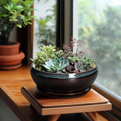 SQOWL Succulent Planters 8 Inch - Ceramic Bonsai Pots with Drainage Hole and Ceramic Saucer, Round Shallow Planter for Indoor Plant, Bowl Planter Outdoor, Desk Decor, Gift for Plant Lover, Blue-Brown