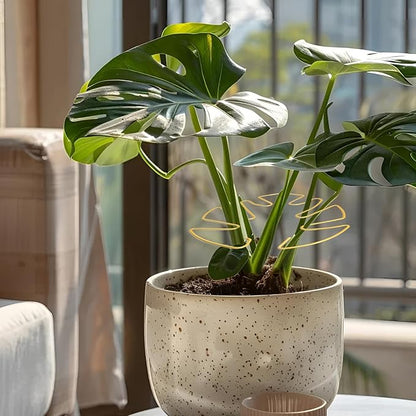 6PCS Golden Monstera Plant Support, Elegant Metal Plant Stem Support Stakes for Indoor Plants, Durable and Stylish Accessories for Healthy Growth and Stability