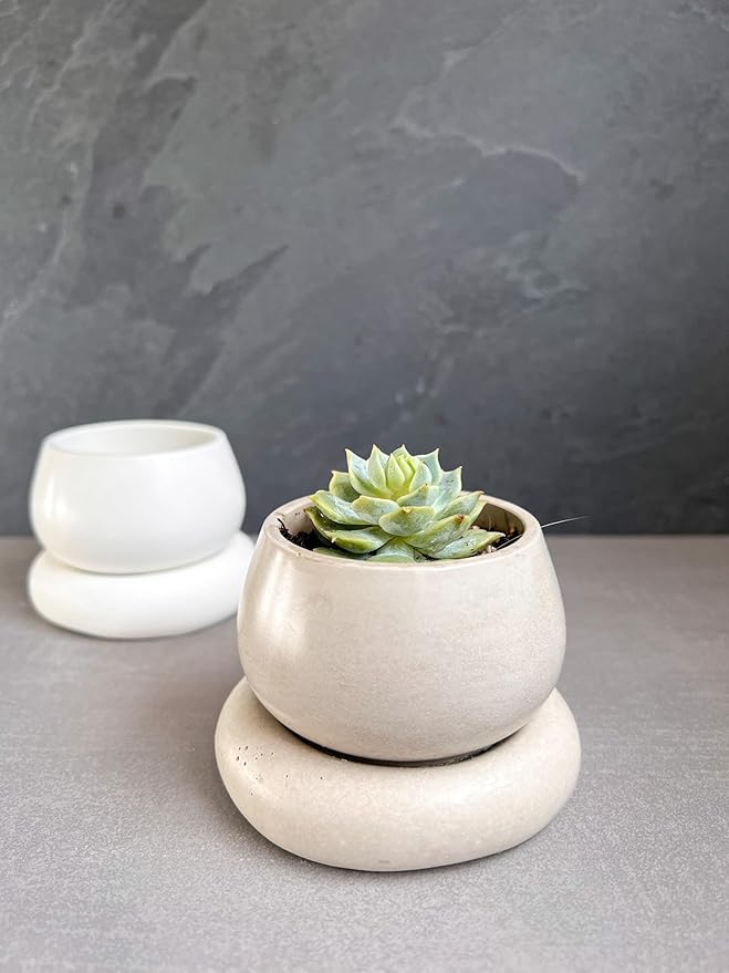 Mini Concrete Planter with Drainage, Cute Plant Pot, Bubble Planter, Decorative Cement Pot, Minimalist Pot with Saucer, Nordic, Chunky Pot (Creamy Gray)