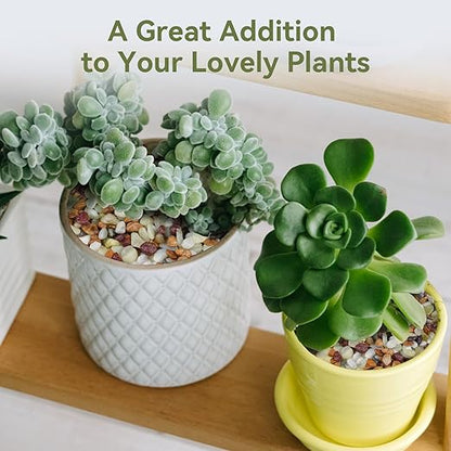 2.5 lbs Pebbles for Indoor Plants, Succulent Rocks, 3/8" Polished Pebbles for Bamboo, Vase, Terrarium, Natural Decorative Small River Rocks for Crafts, Cactus, Outdoor Garden Landscaping
