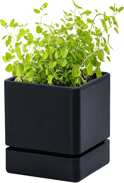 D'vine Dev 4 Inch Herb Planter Pot, Plastic Planter with Drainage Holes and Saucer, Modern Decorative Gardening Pot for Indoor Plants, Flowers, Herbs, Succulents, Black, Set of 1, 76-Y-B1-1
