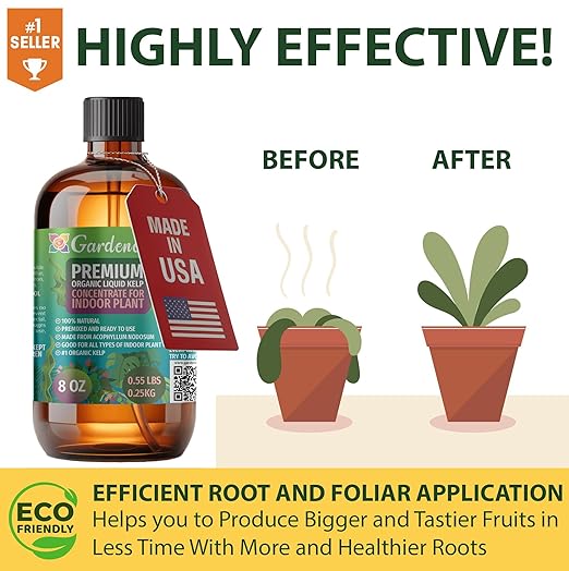 GARDENERA Premium Organic Seaweed & Kelp Superfood for Citrus Trees Plants - 8 oz - Liquid Kelp Fertilizer Concentrate (Makes 45 Gallons)