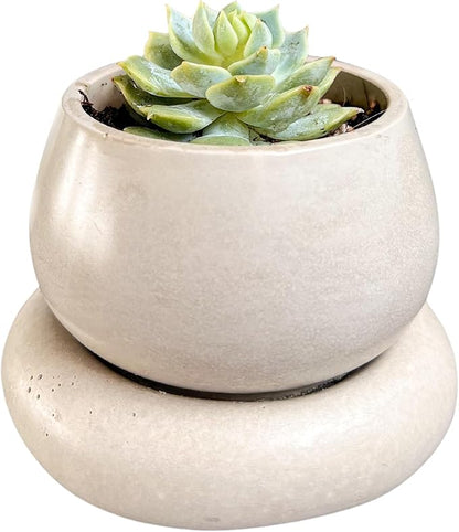 Mini Concrete Planter with Drainage, Cute Plant Pot, Bubble Planter, Decorative Cement Pot, Minimalist Pot with Saucer, Nordic, Chunky Pot (Creamy Gray)