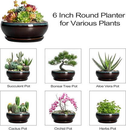 SQOWL Succulent Pots with Drainage Hole - 6 Inch Ceramic Bonsai Tree Pots, Shallow Planter with Saucer, Round Plant Pot for Succulent Indoor Outdoor, Porch Decor, Gifts for Plant Lover, Blue-Brown