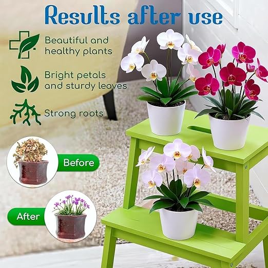 All-Purpose Liquid Plant Food Fertilizer for Orchids & House Plants | 6-Pack Easy Cut & Stick Nutrient Solution for Indoor Plants | Promotes Vibrant Blooms, Strong Roots & Lush Foliage | Made in USA