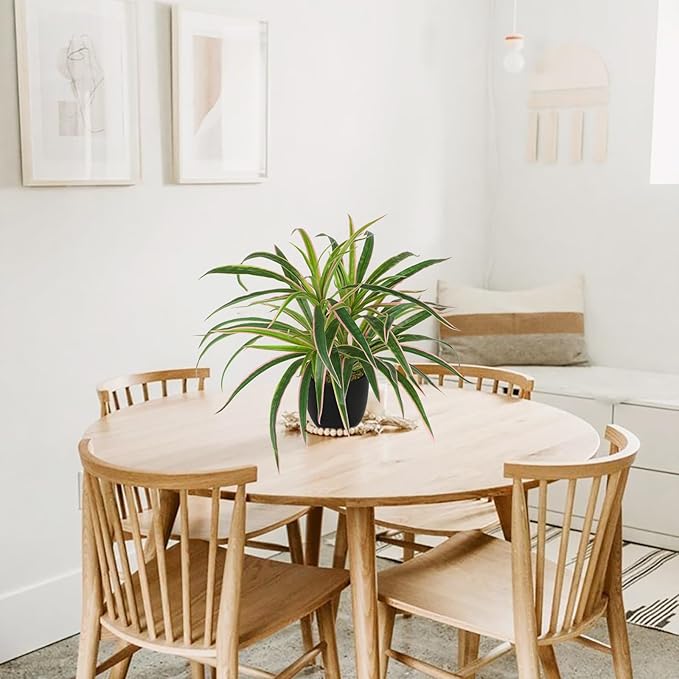 Fake Hanging Plant, Faux Spider Plant in Black Pot Artificial Grass Plants 13 Inch Faux Potted Plants for Home Office Table Shelf Indoor Outdoor Pink and Green