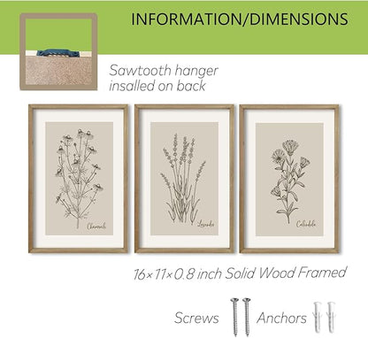 TQianJiang Vintage Botanical Wall Art 16"x11" Set Of 3 Wood Framed Wildflower Pictures Wall Decor for Bedroom Minimalist Wall Hanging (Wood)