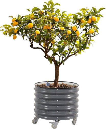 Rolling Metal Citrus Tree Planter, Self-Watering Round Large Pot for Growing Trees Tomatoes Vegetables and Flowers, Raised Garden Bed with Wheels for Porch Patio & Backyard, Single Pack-Modern Gray