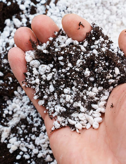 TOYPOPOR Perlite for Plants, 3-6mm Organic Perlite for Gardening, Perlite for Plants Indoor, Soil Additive Conditioner Mix Improve Drainage and Ventilation Promote Root Growth and Soil Health 1qt