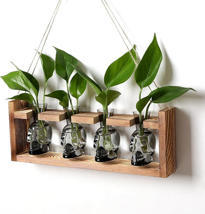 Plant Propagation Stations Halloween Skull Plant Terrarium Kit Glass Vases Gift for Father Air Planter Home Office Decor