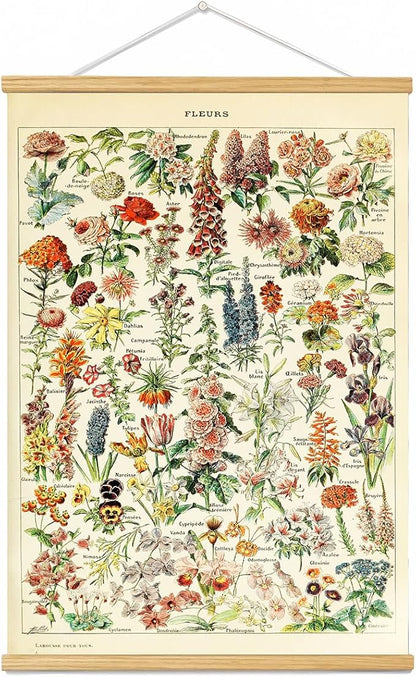 Vintage Flowers Poster Hanger Frame, Plant Floral Reference Chart Wall Decor Cottagecore Room Decor Aesthetic, Retro Style Wall Decor Art Painting Prints. (plant D, 24L x 16W)