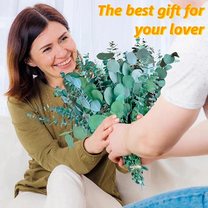 32 Pcs Large Dried Eucalyptus & Silver Dollar Leaves Bundle - 100% Natural Real Fresh Plants, 17" Preserved Eucalyptus Stems for Shower Hanging, Bathroom Decor, Garland, Greenery Plant (32)