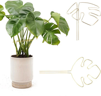 2 PCS Monstera Plant Support, Gold Monstera Stabilizer Grapple Holder, Unique Design for Turtle Shell Bamboo Clamp Set, Ideal Plant Stem Support Ring Stakes for Indoor Outdoor Climbing Plant
