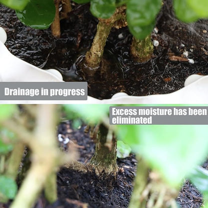 Plant air pruning pot, honeycomb porous structure design, improve root system development, prevent decay, suitable for flowers/vegetables/seedlings, farm planting solutions (Black, 12inches-5G-6P)