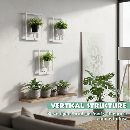 3 Pcs Wall Plant Holder Window Wooden Plant Shelves Photo Frame Planters Pot Holder Indoor Planters Wall Hanging Flower Pot Rack for Home Living Room Bedroom Entrance(Distressed White)