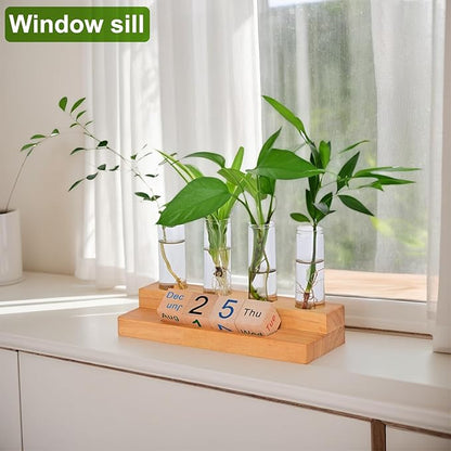 Plant Propagation Station with Block Calendar for Desk, Double-Layer Stand Design, More Stable Placement, Perfect Gardening Gifts for Plant Lovers Women (Dark Wood Color)