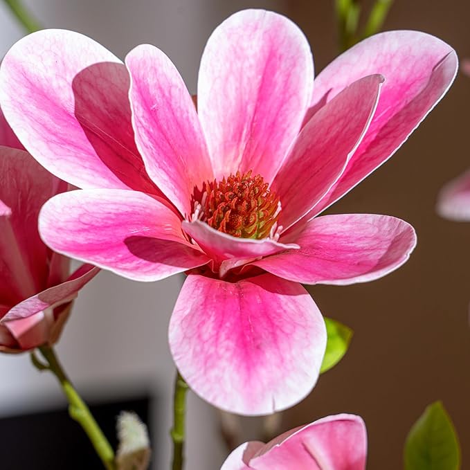 Tall Fake Magnolia Flower Tree Artificial Trees Cherry Blossom Floor plantas Indoor Outdoor Realistic for Home Living Room Office Porch Outside Patio arboles para decoracion Housewarming Gift