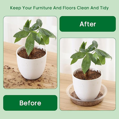JERIA 6 Inch 20 Pack Clear Plant Saucers,Plastic Flower Pot Trays,Round Durable Plant Drip Trays for Indoor and Outdoor