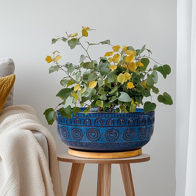 Bonsai Pots 8 Inch - Ceramic Succulent Pots for Indoor Plants, Shallow Round Planters with Drainage Hole and Saucer, Boho Bonsai Bowl, Home Decor, Blue