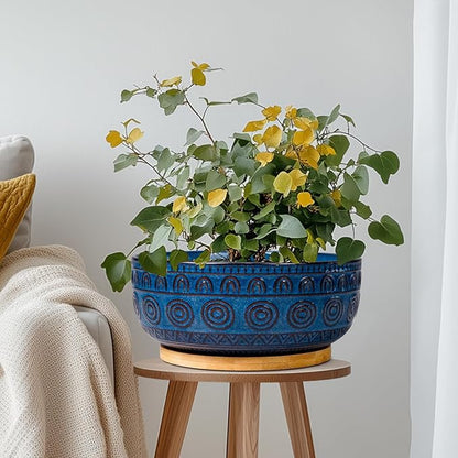 Bonsai Pots 8 Inch - Ceramic Succulent Pots for Indoor Plants, Shallow Round Planters with Drainage Hole and Saucer, Boho Bonsai Bowl, Home Decor, Blue