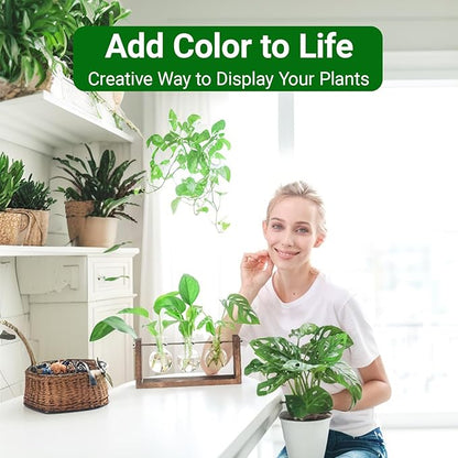 Propagation Station, Plants Terrarium, Plants Lover Gifts for Women,Plant Cutting Holder Home décor,Gifts for Women,House Warming New Home-3 Bulbs-Mounted