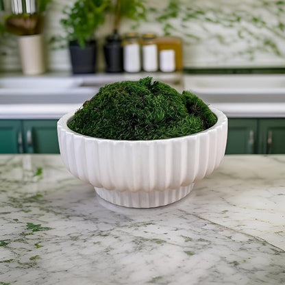 Preserved Mood Moss - Decorative Moss - Dried Moss for Crafts, Home Decor, Art, Design & DIY Projects - For Indoor Use - Natural Green - Standard Box - Covers 4-5 sq. ft.