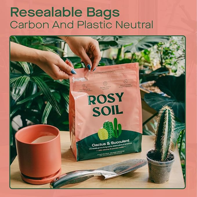 Rosy Soil Cactus & Succulent Potting Mix + Indoor Potting Soil - Peat Free House Plant Soil - Mix for Indoor Plants (4 Quarts Each)