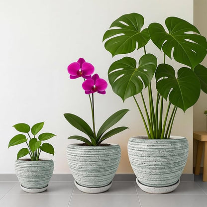 Deep Dream 6 Inch Plant Pots- Ceramic Planter Pot with Drainage Hole and Saucer, Round Flower Pot for Indoor Outdoor Succulent, Snake Plants and Cactus, Brushed Green