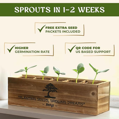 DIY Bonsai Tree Kit for Beginners – 5X Unique Japanese Bonzai Trees | Complete Indoor Bonsai Starter Kit for Growing Bonsai Plants with Tools & Planters – DIY Gardening Gifts for Women & Men