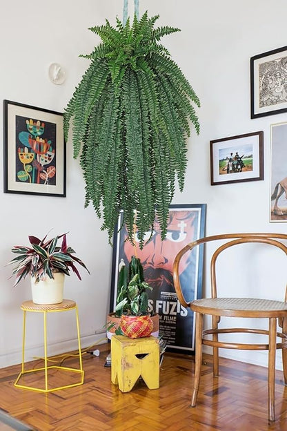 Ferns Fake Plants 59 Fronds Artificial Plants Outdoor 57" Long Fake Fern Look Real Large Plant Artificial Ferns Potted | Hanging Boston Fern | Fake Plant Shrubs for Home Garden Porch Farmhouse Decor