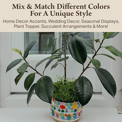 Preserved Spanish Moss - Decorative Moss - Dried Moss for Crafts, Home Decor, Art, Design & DIY Projects - for Indoor Use - Green Apple - Standard Box - Covers 10-12 sq. ft.