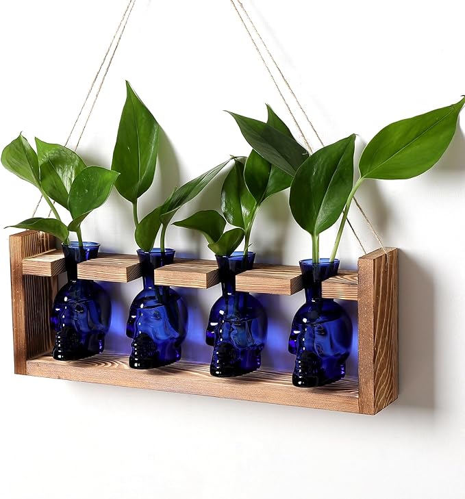 Plant Propagation Stations Halloween Skull Plant Terrarium Kit Glass Vases Gift for Father Air Planter Home Office Decor