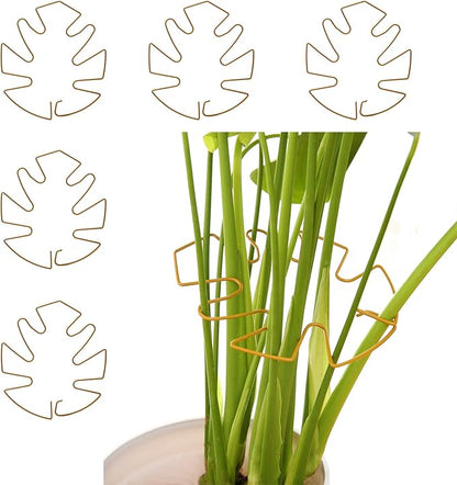 Spiritlele 5 Pcs Golden Plant Stem Support Holder Set Monstera Plant Support Clamp Growth Accessories for Indoor Plants Small