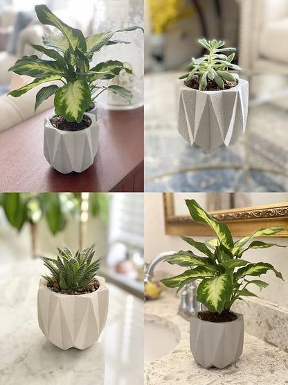 Geometric Nordic Cement Succulent Pots 4.3" Planters with Drainage | 3 Pack…