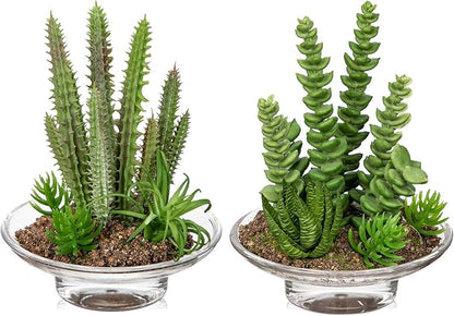 Set of 2 Succulents Plants Artificial cactus in Glass Pot with Realistic Featuring Sand Moss, Small Fake Succulents Plants Faux Plants Indoor for Home Office Desk Bathroom Shelf Living Room Decor