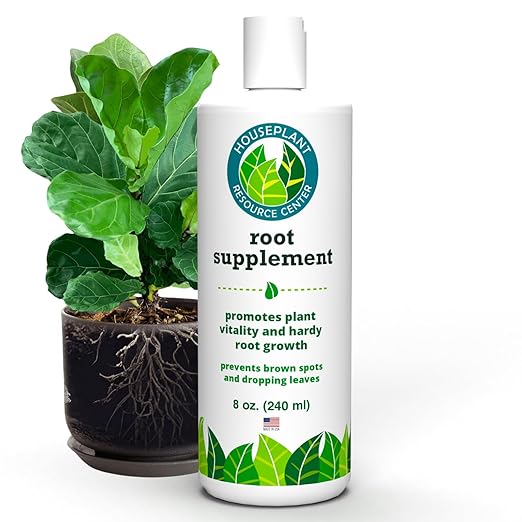 Fiddle Leaf Fig Essentials Bundle