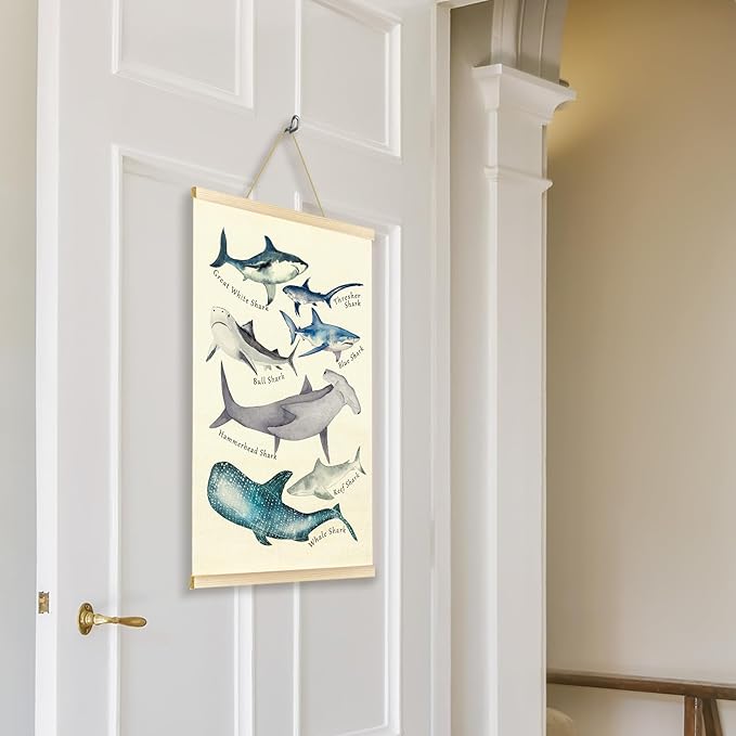 TAEDIN Watercolor Shark Ocean Animal Chart Poster Hanger Frame, Educational Shark Kid Bathroom Decor Wooden Canvas Artwork Print, Sea Life Wall Painting for Homeschool Classroom Library Dorm Decor 16X24